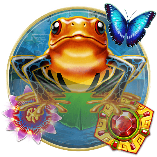 Frogs Gift